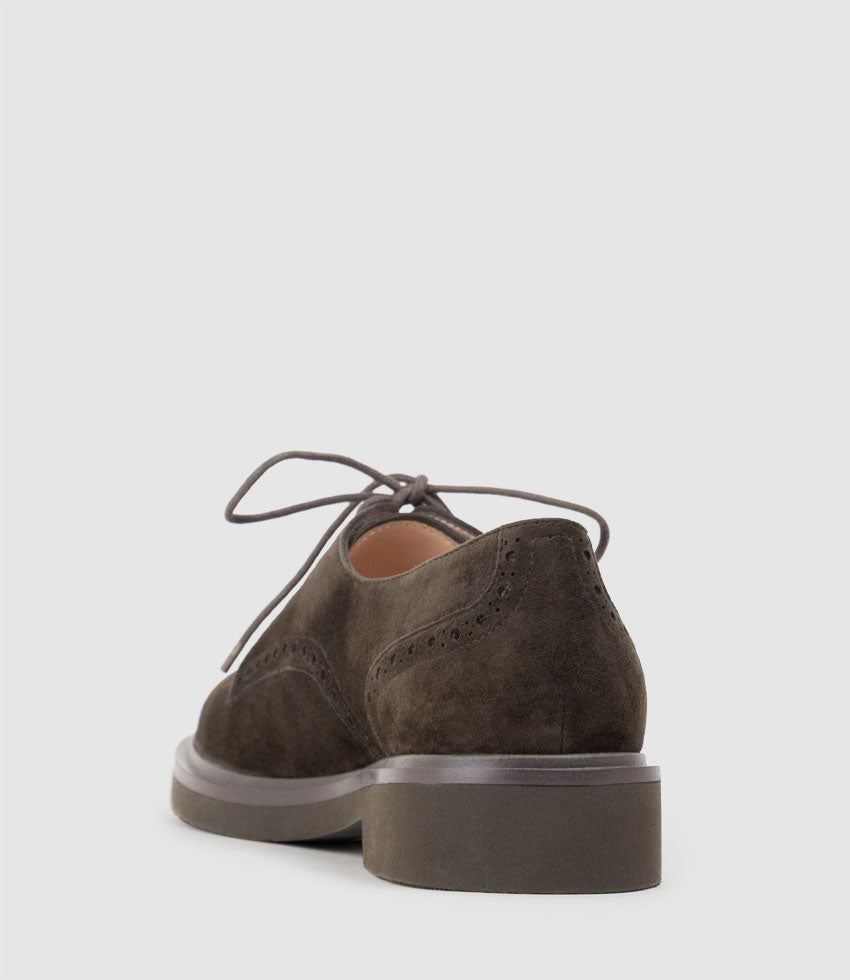 PAOLO Lace Up in Chocolate Suede - Edward Meller