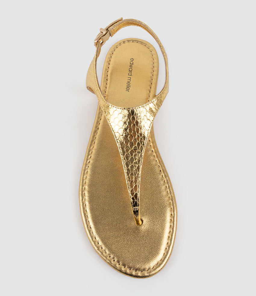 THELMA Flat Thong with Ankle Strap in Gold Snake - Edward Meller