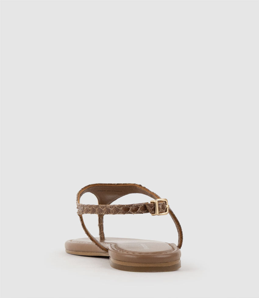THELMA Flat Thong with Ankle Strap in Tan Snake - Edward Meller