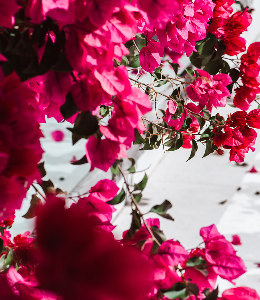 RSVP: It’s Wedding Season