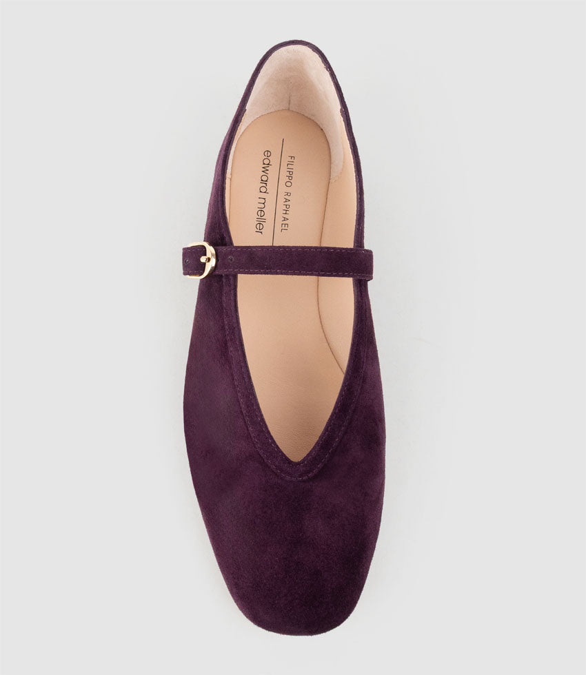 FLAVIA Choked Up Ballet with Strap in Eggplant Suede - Edward Meller