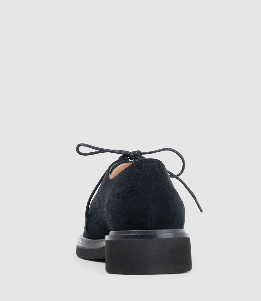 PAOLO Lace Up in Black Suede - Edward Meller