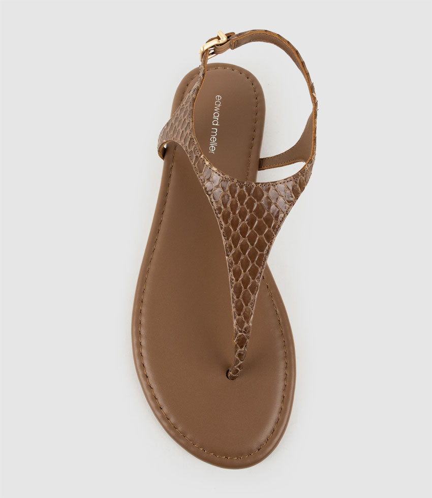 THELMA Flat Thong with Ankle Strap in Tan Snake - Edward Meller